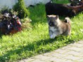 /album/fenykepgaleria/a7-jpg/