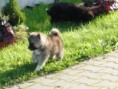 /album/fenykepgaleria/a12-jpg/