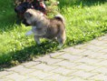 /album/fenykepgaleria/a13-jpg/