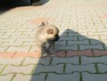 /album/fenykepgaleria/a20-jpg/