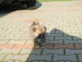 /album/fenykepgaleria/a21-jpg/